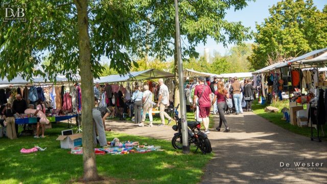 Rommelmarkt Westerpark 06-09-2026 (13)