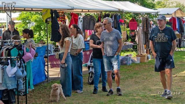 Rommelmarkt Westerpark 06-09-2026 (6)